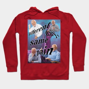 Different Day, Same Pain Harold Meme Hoodie